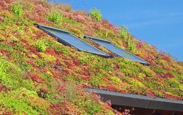 Middleton Quernhow living roof systems